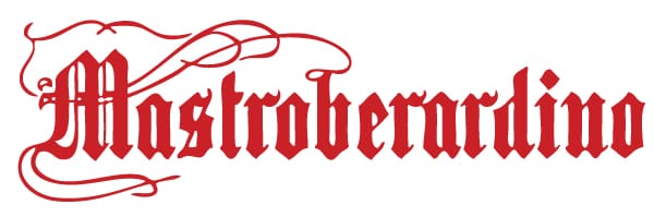 Partner 13